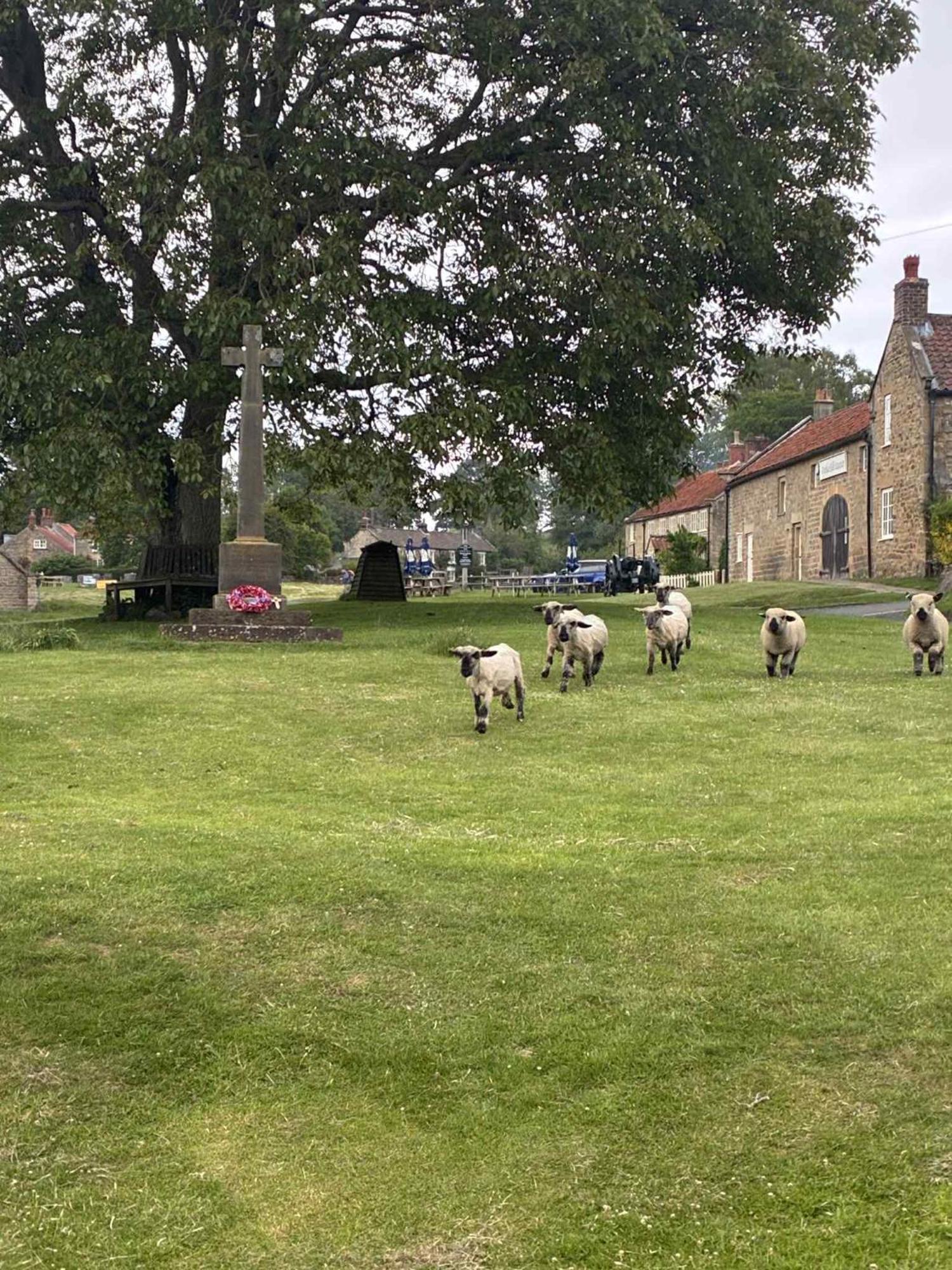 The Barn And Tearoom 4*